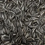 تخمه آفتاب گردان خام - Image 3