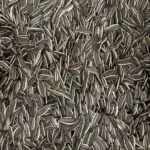 تخمه آفتابی خام زوج کیسه طوسی - Image 3