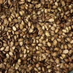 تخمه هندوانه دو آتیشه قمی - Image 3
