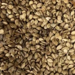 تخمه هندوانه سفید سنتی - Image 3