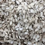 تخمه کدو ایرانی سفید شور - Image 3