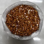 مغز آلوک - Image 3