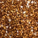 مغز آلوک - Image 2