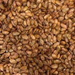 تخمه ژاپنی گل پر - Image 3